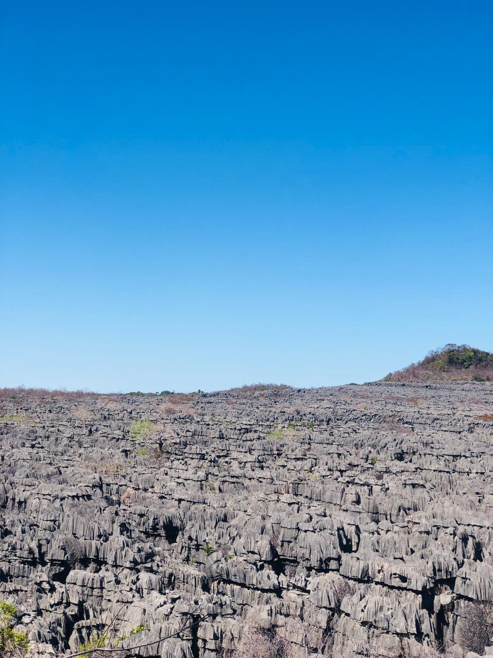 Ankarana-pixelly-travel