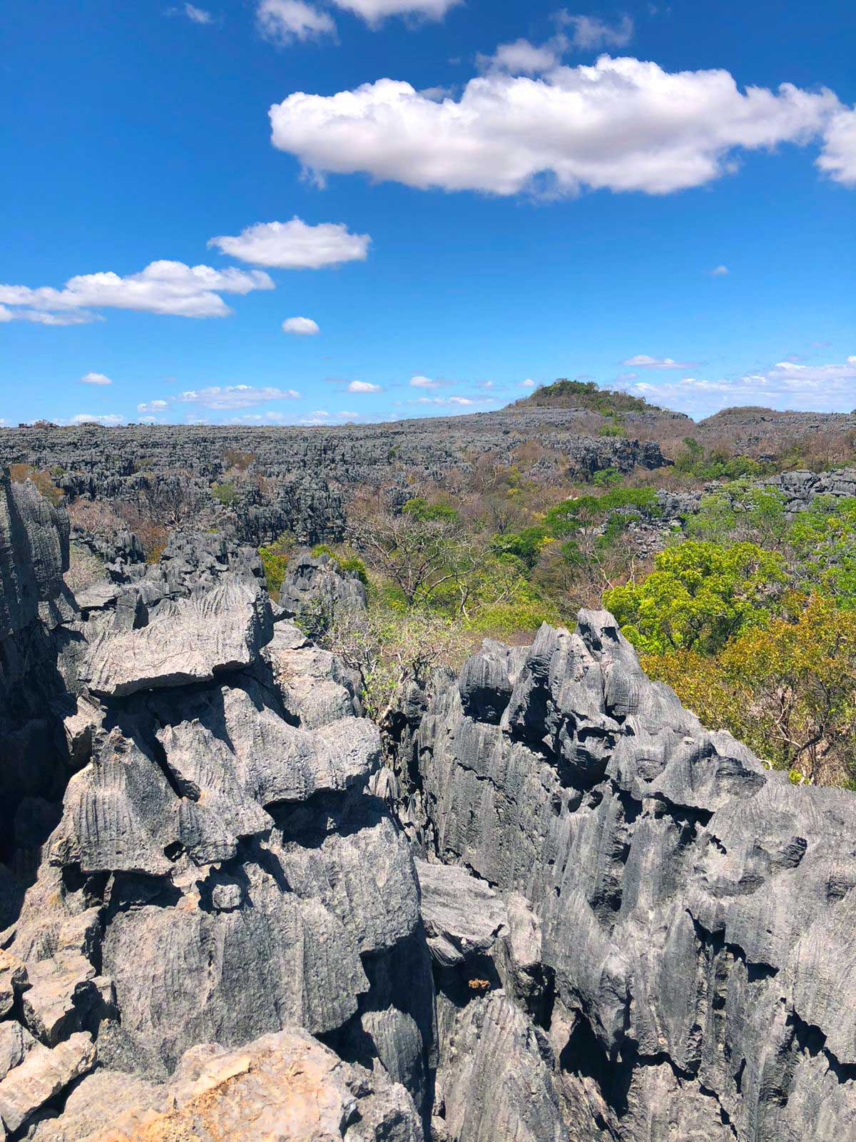 ankarana-pixelly-travel-nosy-be