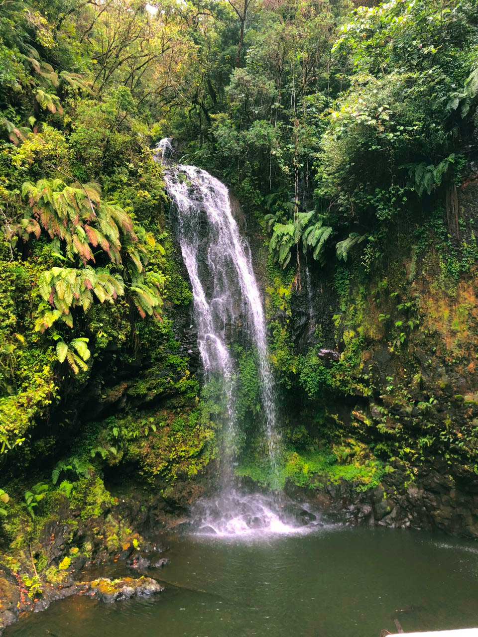 montagne-d-ambre-diego-pixelly-travel