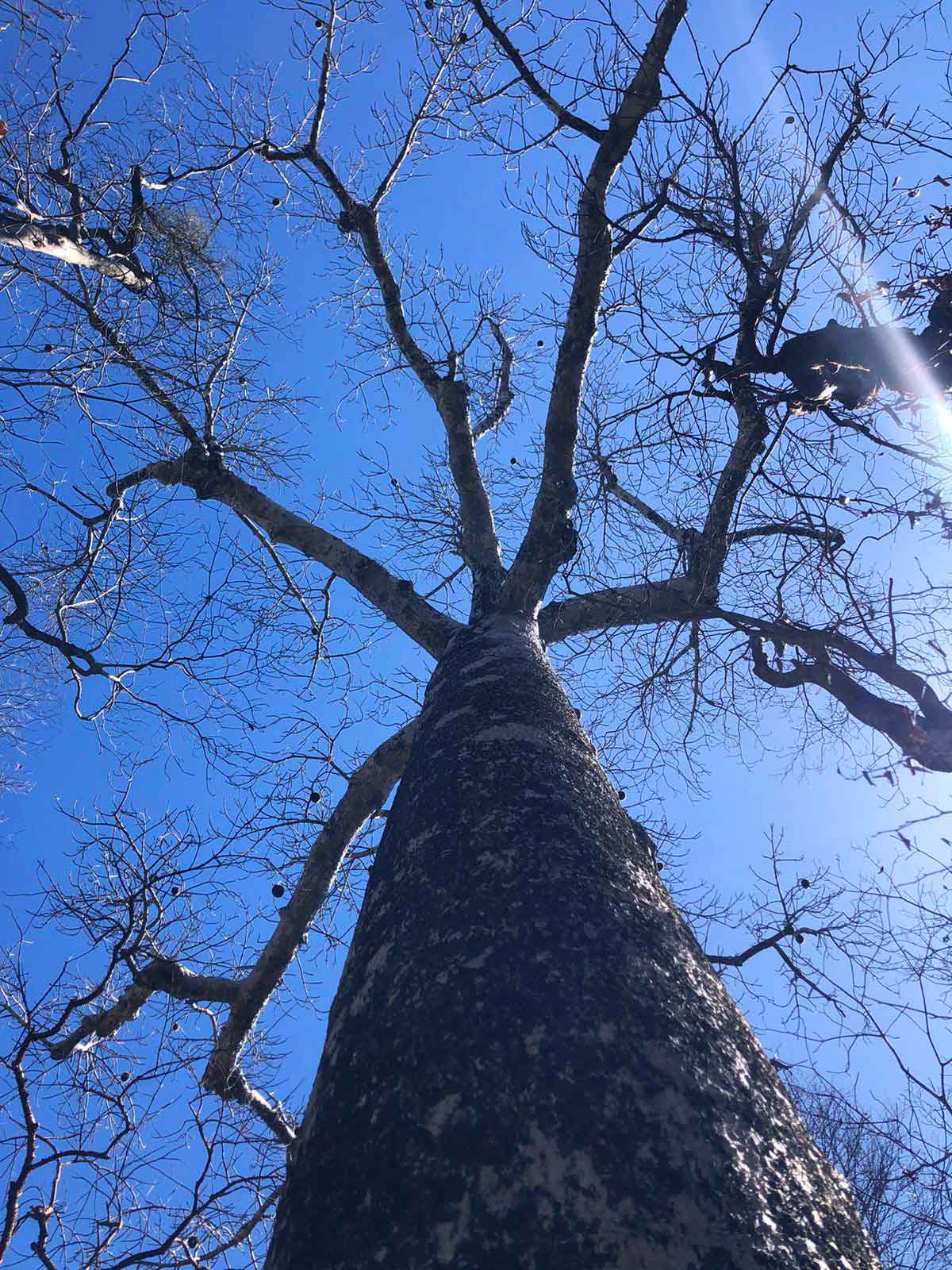 parc-national-pixelly-travel